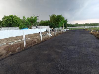 Plot View