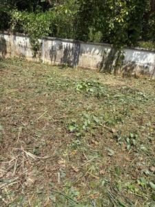 Image of 4356 Sq.ft Residential Plot / Land for sale in Velappaya, Killannur, Thrissur for Rs. 5750000