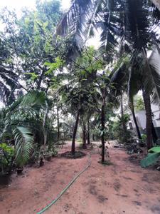 Kovalam Plot View 2