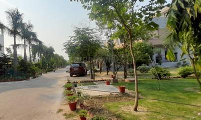 Image of 300 Sq.ft Residential Plot / Land for sale in Omega 1, Greater Noida for Rs. 50000000