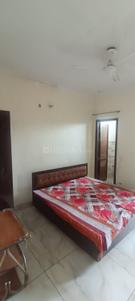 Bedroom Image of 900 Sq.ft 2 BHK Builder Floor for rent in Bhago Majra Mohali for Rs. 16000
