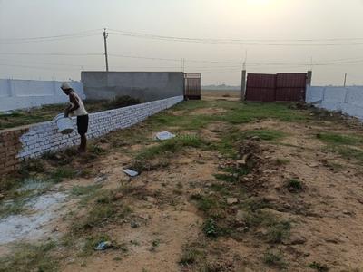 Royal society project  Plot View 3
