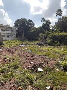 ROYAL RAJPUTANA CO Plot View 2