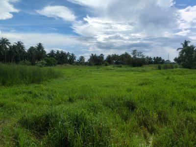 Nest Valley Plot View 1