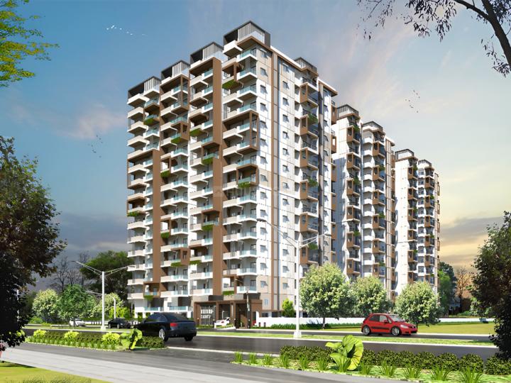 Riddhis Taranto Main Image 1