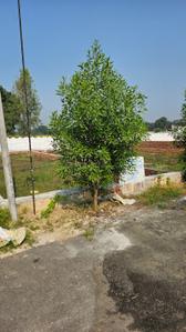Image of 800 Sq.ft Residential Plot / Land for sale in Gosainganj, Lucknow for Rs. 1400000