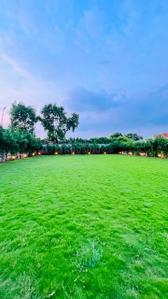 Image of 13500 Sq.ft 1 BHK Farm House for sale in Sector 15, Gurgaon for Rs. 70000012