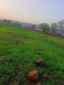 Basavan Kudchi Plot View 1