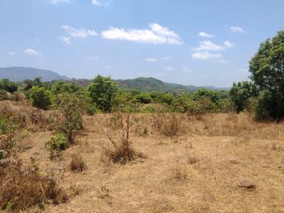 Image of 40000 Sq.ft Residential Plot / Land for sale in Bhor, Pune for Rs. 1500000