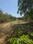 Arrah Patna buxar highway  Plot View 2