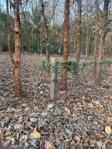 Image of 9600 Sq.ft Residential Plot / Land for sale in Emerald Enclave, Hebbal, Mysore for Rs. 46000000