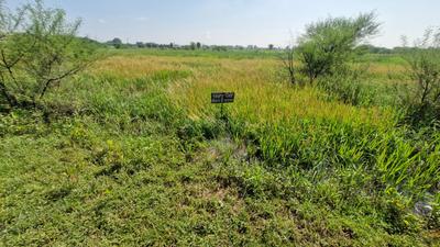 Image of 1560 Sq.ft Residential Plot / Land for sale in Pulgoan, Durg for Rs. 2660000