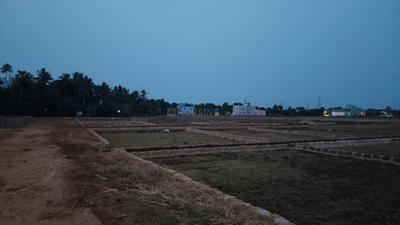 Atala Plot View 2