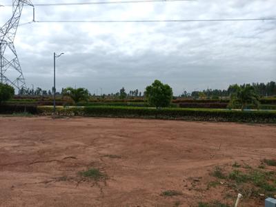 Residential Plot