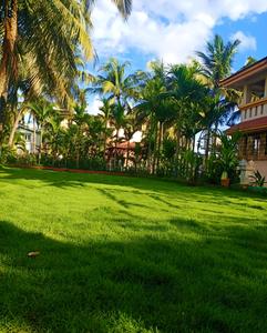 Image of 3000 Sq.ft 3 BHK Independent House for sale in Vasai West, Vasai for Rs. 44900000