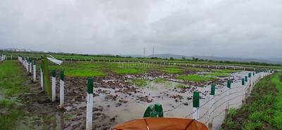 Image of 4000 Sq.ft Residential Plot / Land for sale in Harishchandra Pimpale, Navi Mumbai for Rs. 2800000