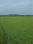 kiit darutheng Main Image 1