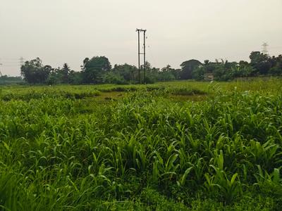 Image of 1440 Sq.ft Residential Plot / Land for sale in Sonarpur, Kolkata for Rs. 790000