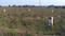 Gollapudi Plot View 2