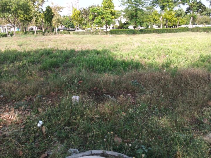 QVC G99 Main Image 1