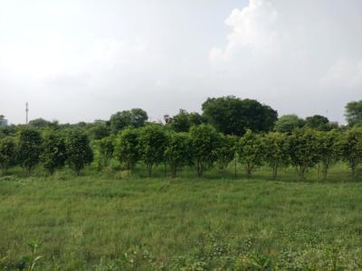 Image of 1350 Sq.ft Residential Plot / Land for sale in Sector 98, Faridabad for Rs. 25100000
