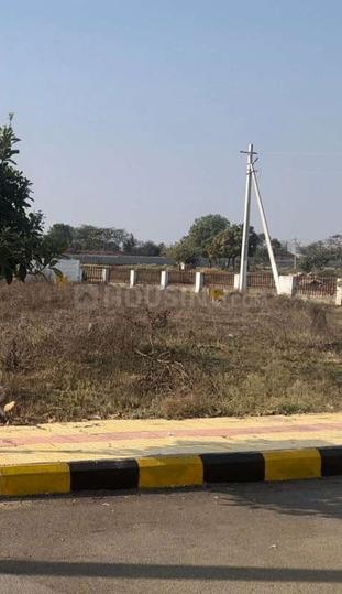 Pulimamidi Main Image 1