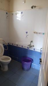 Common Bathroom Image of 1200 Sq.ft 2 BHK Apartment / Flat for rent in Celebrity Srivaru, Electronic City Phase 2 Bengaluru for Rs. 20700