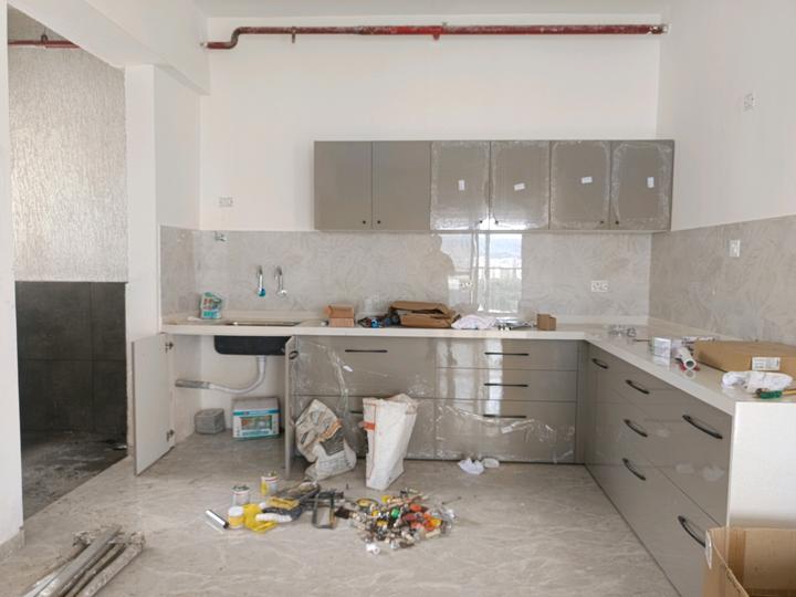 Mohammed Wadi Main Image 1