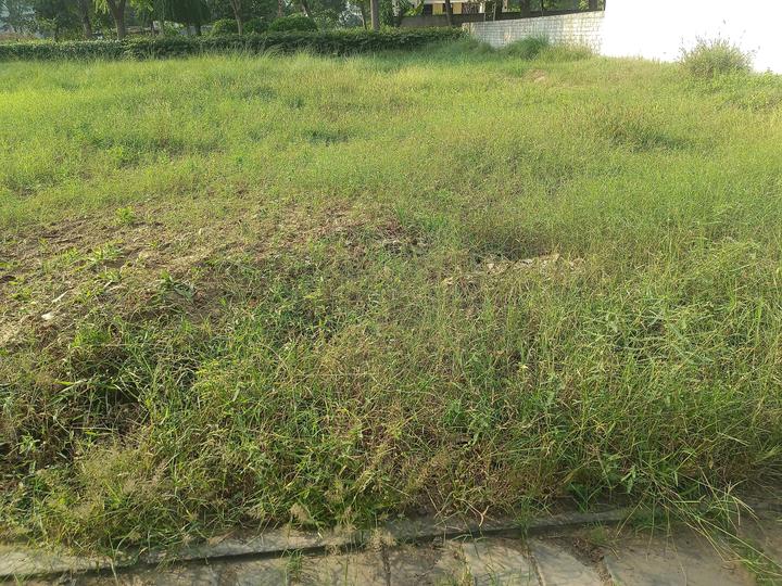 Experion The Westerlies Plots Main Image 1