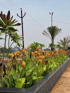 Image of 1250 Sq.ft Residential Plot / Land for sale in Safedabad, Lucknow for Rs. 3125000