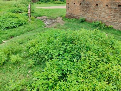 Image of 4320 Sq.ft Residential Plot / Land for sale in Majiara, Asansol for Rs. 450000
