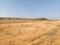 Adibatla Plot View 2