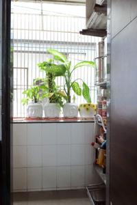Balcony Image of 1670 Sq.ft 3 BHK Apartment / Flat for sale in Sama Savli Vadodara for Rs. 7000000