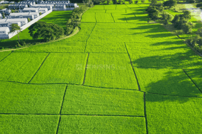 Image of 2000 Sq.ft Residential Plot / Land for sale in Godrej Golf Side Estate, Panvel, Navi Mumbai for Rs. 25000000