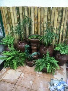 Balcony Image of 1850 Sq.ft 3 BHK Apartment / Flat for rent in Jayamahal Bengaluru for Rs. 85000