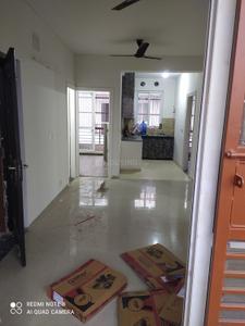 Hall Image of 1620 Sq.ft 3 BHK Independent House for sale in Sector 77 Faridabad for Rs. 9400000