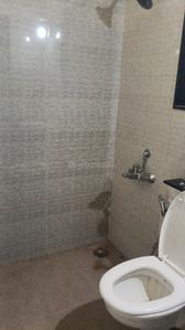 Image of 850 Sq.ft 2 BHK Apartment / Flat for rent in Nyati Elan, Wagholi, Pune for Rs. 23000