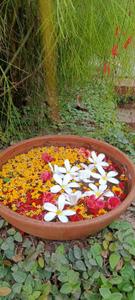 Image of 1500 Sq.ft 2 BHK Villa for rent in Marna Siolim, Goa for Rs. 120000
