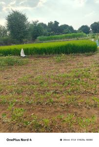 Image of 4840 Sq.ft Residential Plot / Land for sale in Moinabad, Hyderabad for Rs. 36000000