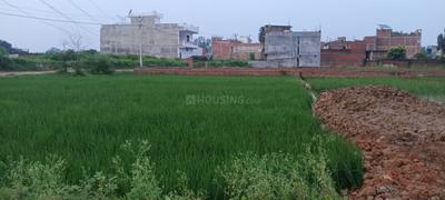 Image of 1360 Sq.ft Residential Plot / Land for sale in Ram Nagar, Varanasi for Rs. 3000000