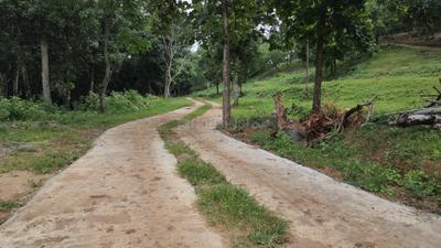 Image of 9147 Sq.ft Residential Plot / Land for sale in Vilpatti, Kodaikanal for Rs. 250000