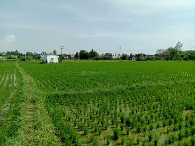 Image of 26640 Sq.ft Residential Plot / Land for sale in Sirkali, Mayiladuthurai for Rs. 3516500