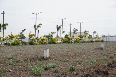Image of 1100 Sq.ft Residential Plot / Land for sale in Kodies Paradise Avenue, Sulur, Coimbatore for Rs. 2713700