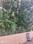 Raysan Balcony 2