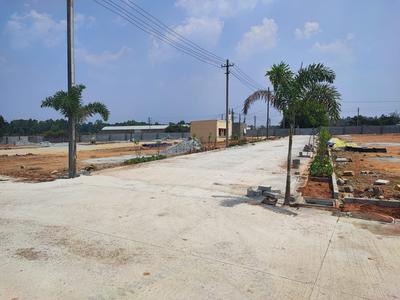 Thyme Park Plot View 3