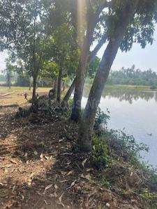 Image of 35000 Sq.ft Residential Plot / Land for sale in Mala, Thrissur for Rs. 9900000