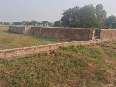 Bihta Plot View 2