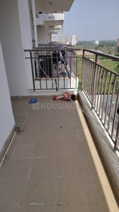 Image of 450 Sq.ft 1 BHK Apartment / Flat for rent in ROF Amaltas, Sector 92, Gurgaon for Rs. 13500