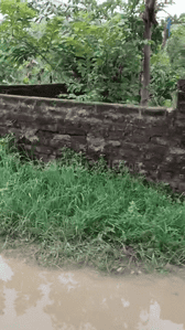 Image of 435 Sq.ft Residential Plot / Land for sale in Pandra, Ranchi for Rs. 2100000