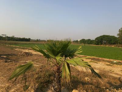 Image of 900 Sq.ft Residential Plot / Land for sale in Khatu Dham Society, Basantpur Saitli, Ghaziabad for Rs. 3449000